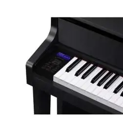 Casio GP-310 BK
