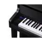 Casio GP-310 BK