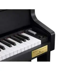 Casio GP-310 BK