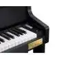 Casio GP-310 BK