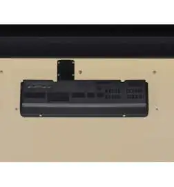 Casio GP-310 BK