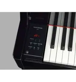 Yamaha N1X Avant Grand