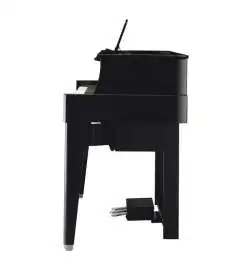 Yamaha N1X Avant Grand