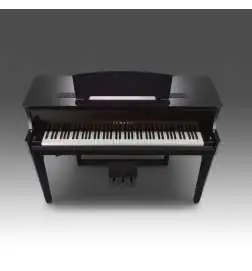 Yamaha N1X Avant Grand