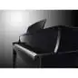 Yamaha N1X Avant Grand