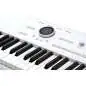 Arturia AstroLab Synthesizer