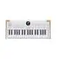 Arturia AstroLab 37 Synth