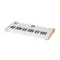 Arturia AstroLab 37 Synth
