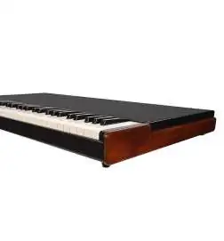 Crumar Mojo 61B Lower Manual