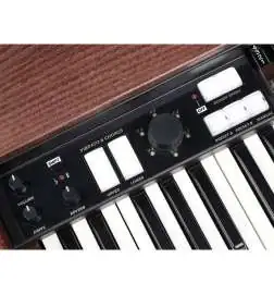 Crumar Mojo Classic Electronic Organ