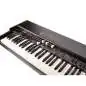 Crumar Mojo61 Organo elettronico