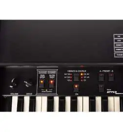 Crumar Mojo61 Organo elettronico