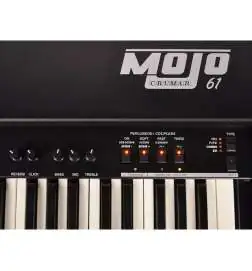 Crumar Mojo61 Organo elettronico