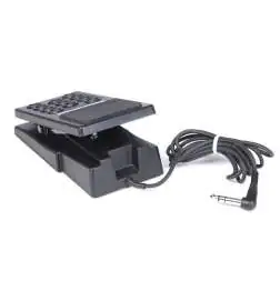 Hammond EXP-20
