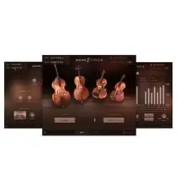 Native Instruments KOMPLETE 12 UPG v. vorigen Selects auf K12 Boxed