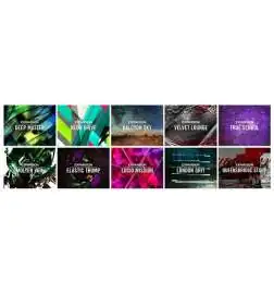 Native Instruments KOMPLETE 12 UPG v. vorigen Selects auf K12 Boxed