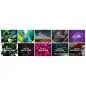 Native Instruments KOMPLETE 12 UPG v. vorigen Selects auf K12 Boxed