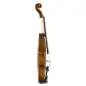 Stentor Student II Violingarnitur 1/2 Stentor Student II Violingarnitur 1/2