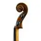 Stentor Student II Violingarnitur 1/2 Stentor Student II Violingarnitur 1/2