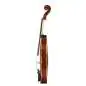 Stentor Student II Violingarnitur 4/4