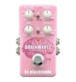 TC Electronic Brainwaves