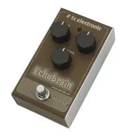 TC Electronic Echobrain Analog Delay