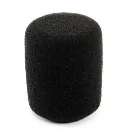 AKG W1000 Windshield C 1000