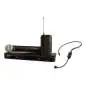 Shure BLX1288E/P31, T11 PG Combo System