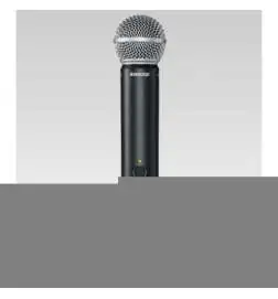 Shure BLX1288E P31, T11 PG Combo System