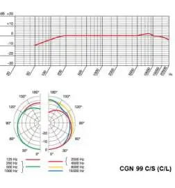 AKG CGN 99 CS Micrófono cuello cisne, condens.