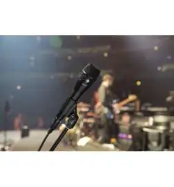 Shure KSM 8 B Dualdyne Vocalmic black