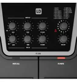 LD-Systems FX 300