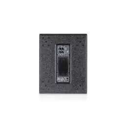 dB Technologies DVA KS10 18 Active Subwoofer