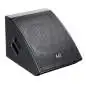 LD-Systems MON 101 A G2