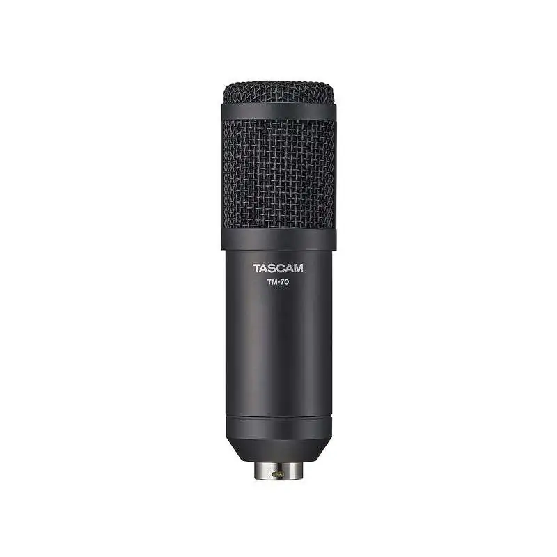 Tascam TM-70 Dynamic Microphone