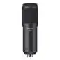 Tascam TM-70 Dynamisches Mikrofon