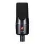 sE electronics X1 A Microfono a condensatore