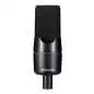 sE electronics X1 A Condenser microphone