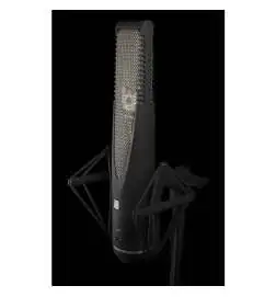 sE electronics RNR1