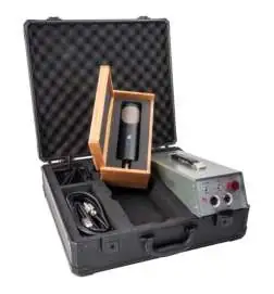 sE electronics RNT