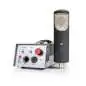 sE electronics RNT