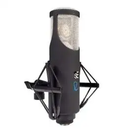 sE electronics RNT