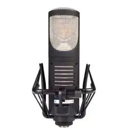 sE electronics RNT