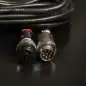 Peluso 22 47 LE