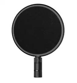 Pop Audio Foam Filter