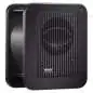 Genelec 7040 APM