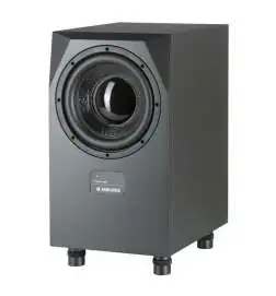 Adam Audio SUB 10 MK2 Caisson de basse actif 10 Woofer, 200w