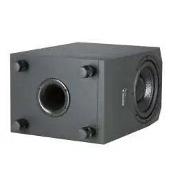 Adam Audio SUB 10 MK2 Caisson de basse actif 10 Woofer, 200w
