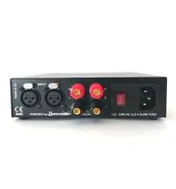 Auratone A2-30