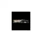 Editors Keys Backlit Keyb Live PC DE